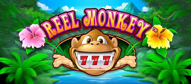 tj777 online casino register